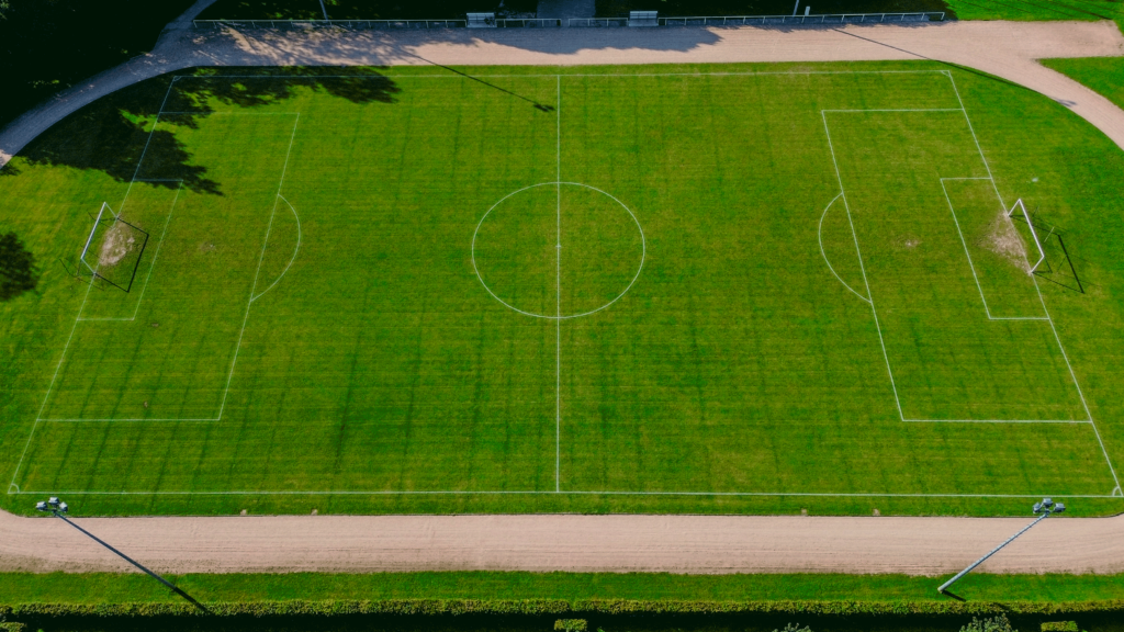 Photo du terrain en herbe du stade Badin